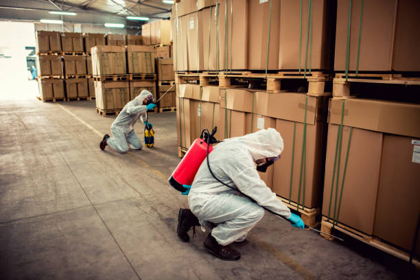 Best Wasp Removal Services  in Oak Grove, SC