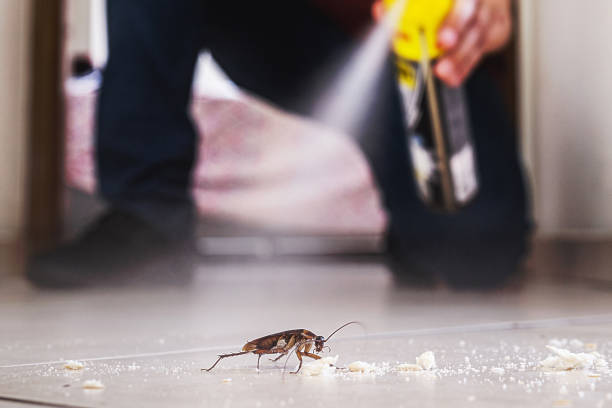 Best Pest Removal Services  in Oak Grove, SC