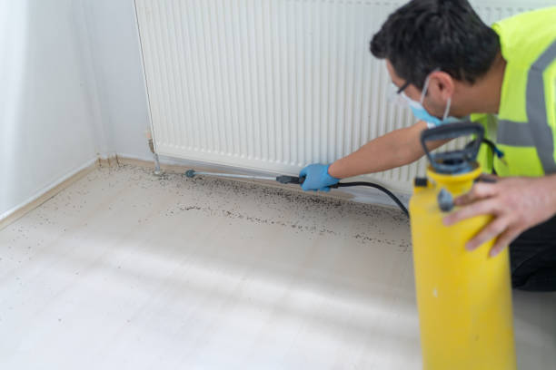 Best Pest Inspection Near Me  in Oak Grove, SC